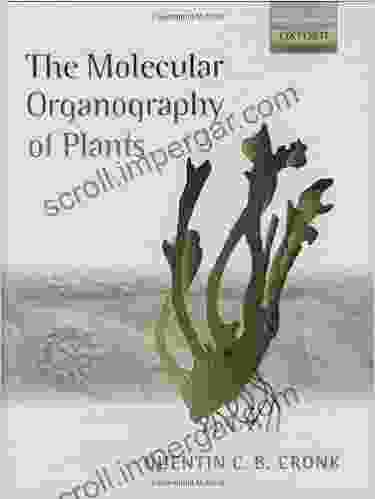 The Molecular Organography Of Plants