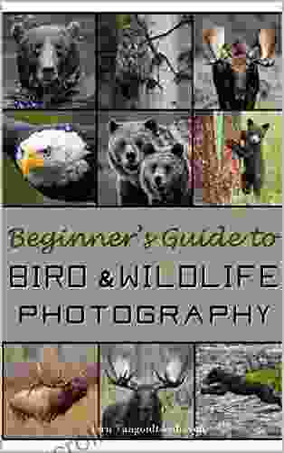 Beginner S Guide To Bird And Wildlife Photography: Learn And Master The Art Of Wildlife Photography