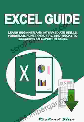 EXCEL GUIDE: LEARN BEGINNER AND INTERMEDIATE SKILLS FORMULAS FUNCTIONS TIPS AND TRICKS TO BECOMING AN EXPERT IN EXCEL