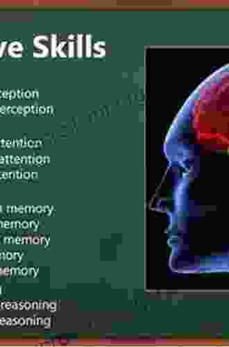 A Cognitive Approach To Situation Awareness: Theory And Application