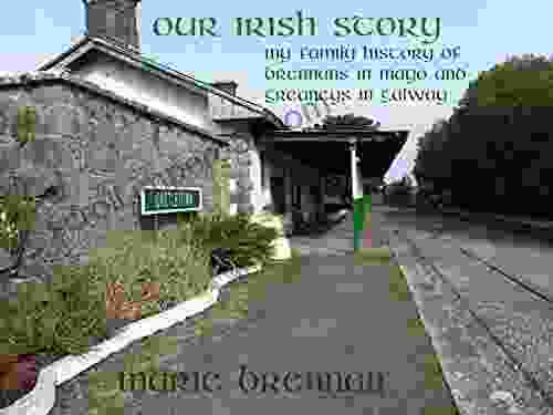 Our Irish Story : My Family History Of Brennans In Mayo And Greaneys In Galway