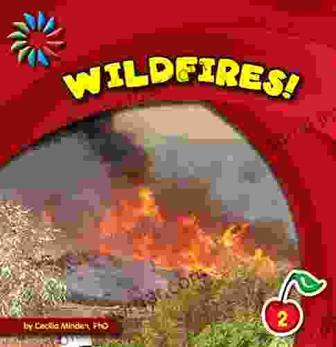 Wildfires (21st Century Basic Skills Library: Natural Disasters)